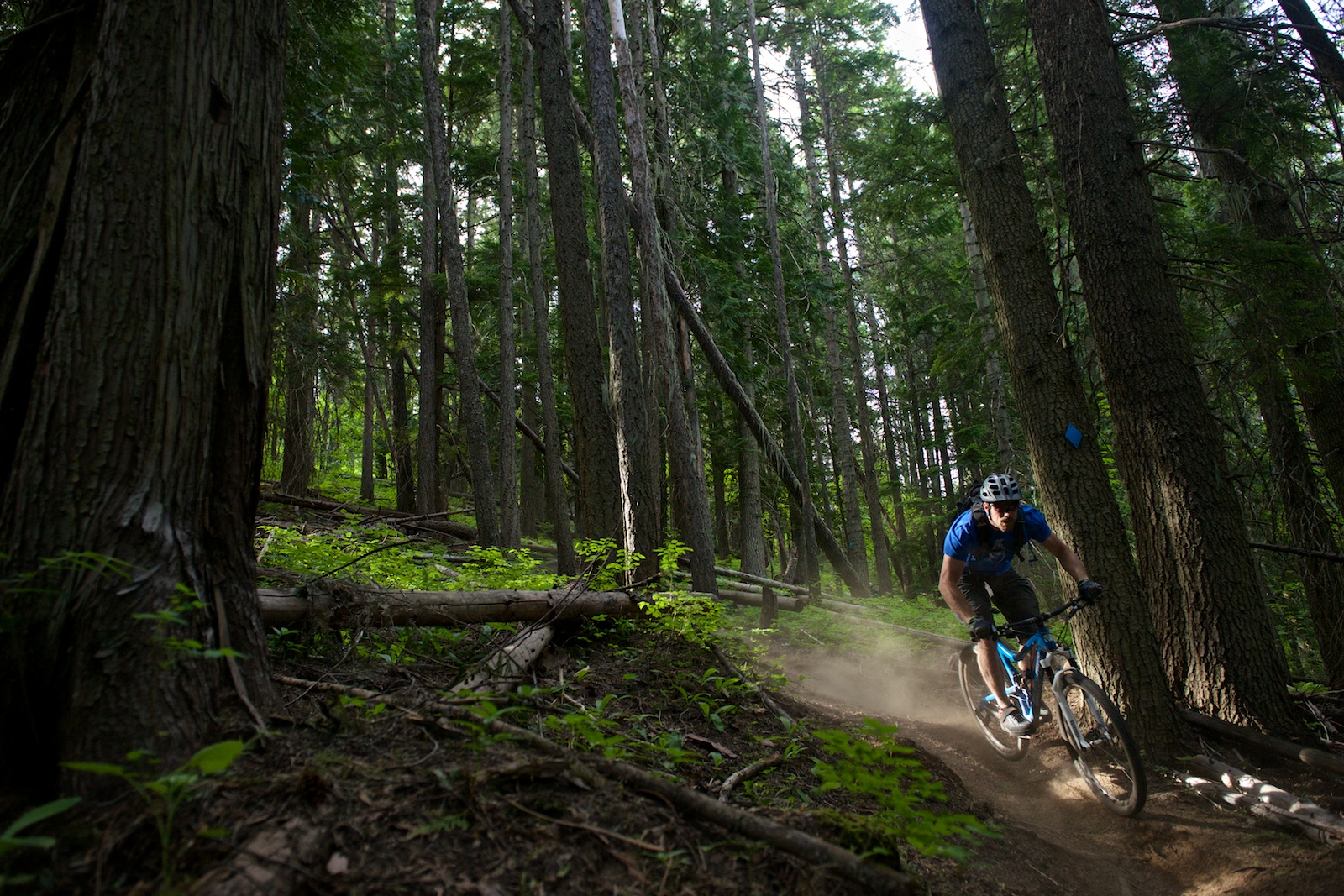 Модели trails. Trail Bike. MTB Trail. Спокан Маунтин. Спокан горы.